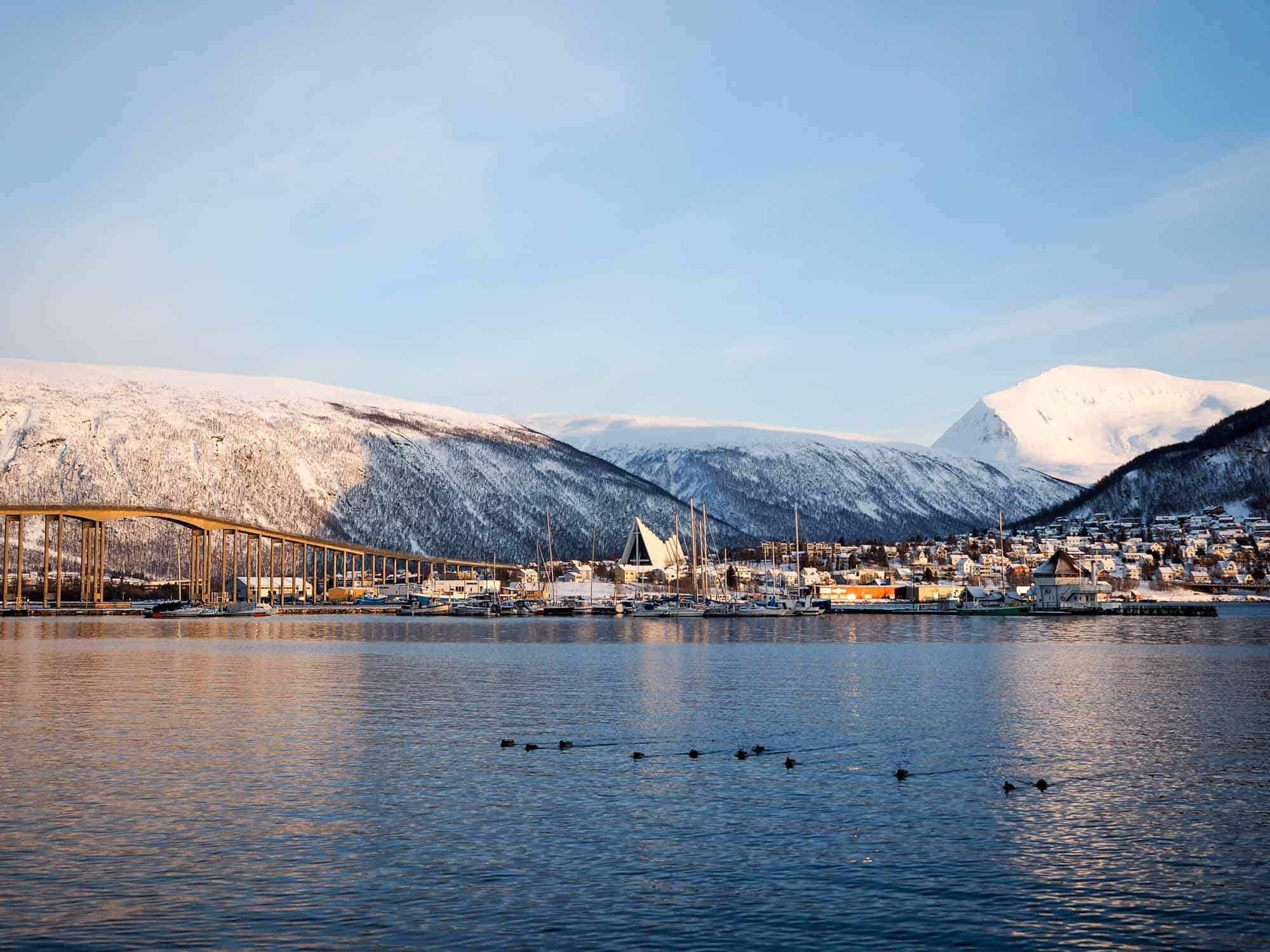 You are currently viewing The Perfect Tromso in Winter Itinerary