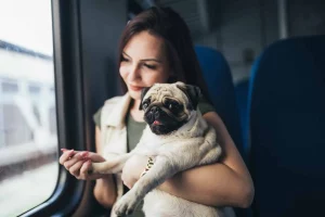Read more about the article Travel Benefits of Having a Psychiatric Service Dog