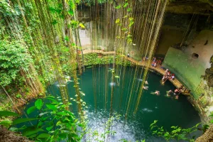 Read more about the article The Best Cenotes in the Riviera Maya