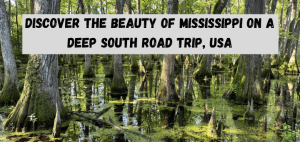 Read more about the article Discover Mississippi on a Deep South Road Trip, USA