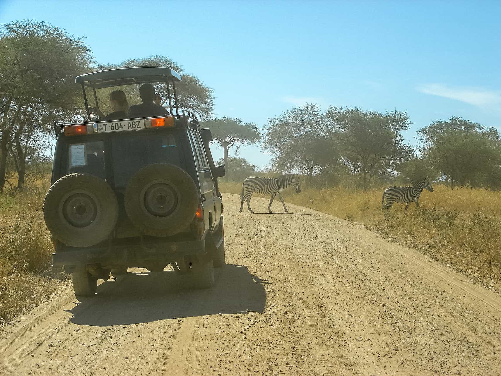 You are currently viewing How to Get to Serengeti National Park From Arusha