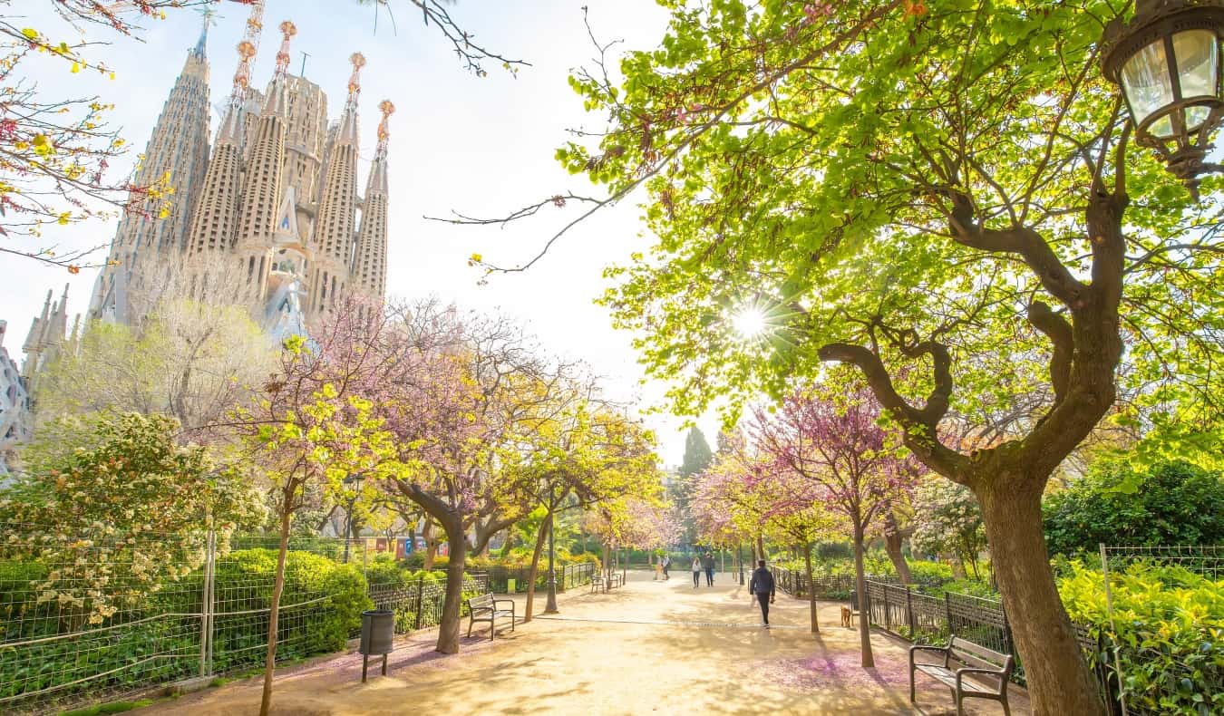You are currently viewing The Best Walking Tours in Barcelona