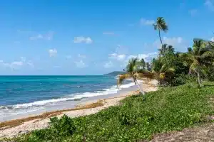 Read more about the article 12 Best Beaches in Vieques, Puerto Rico (+ Vieques Beaches Map)