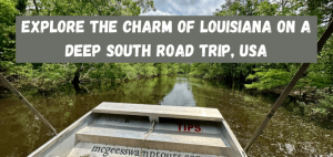 Read more about the article Explore Louisiana on a Deep South Road Trip, USA