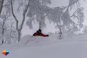 Read more about the article Beginners Allowed: A JAPOW Paradise for Skiers of all Levels