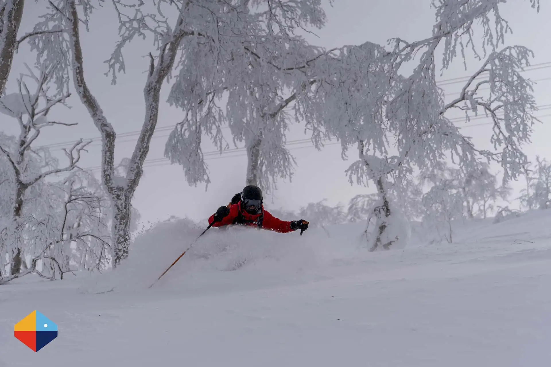 You are currently viewing Beginners Allowed: A JAPOW Paradise for Skiers of all Levels