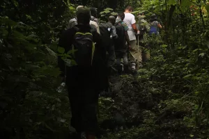 Read more about the article How Fit Should You Be for Gorilla Trekking in Uganda