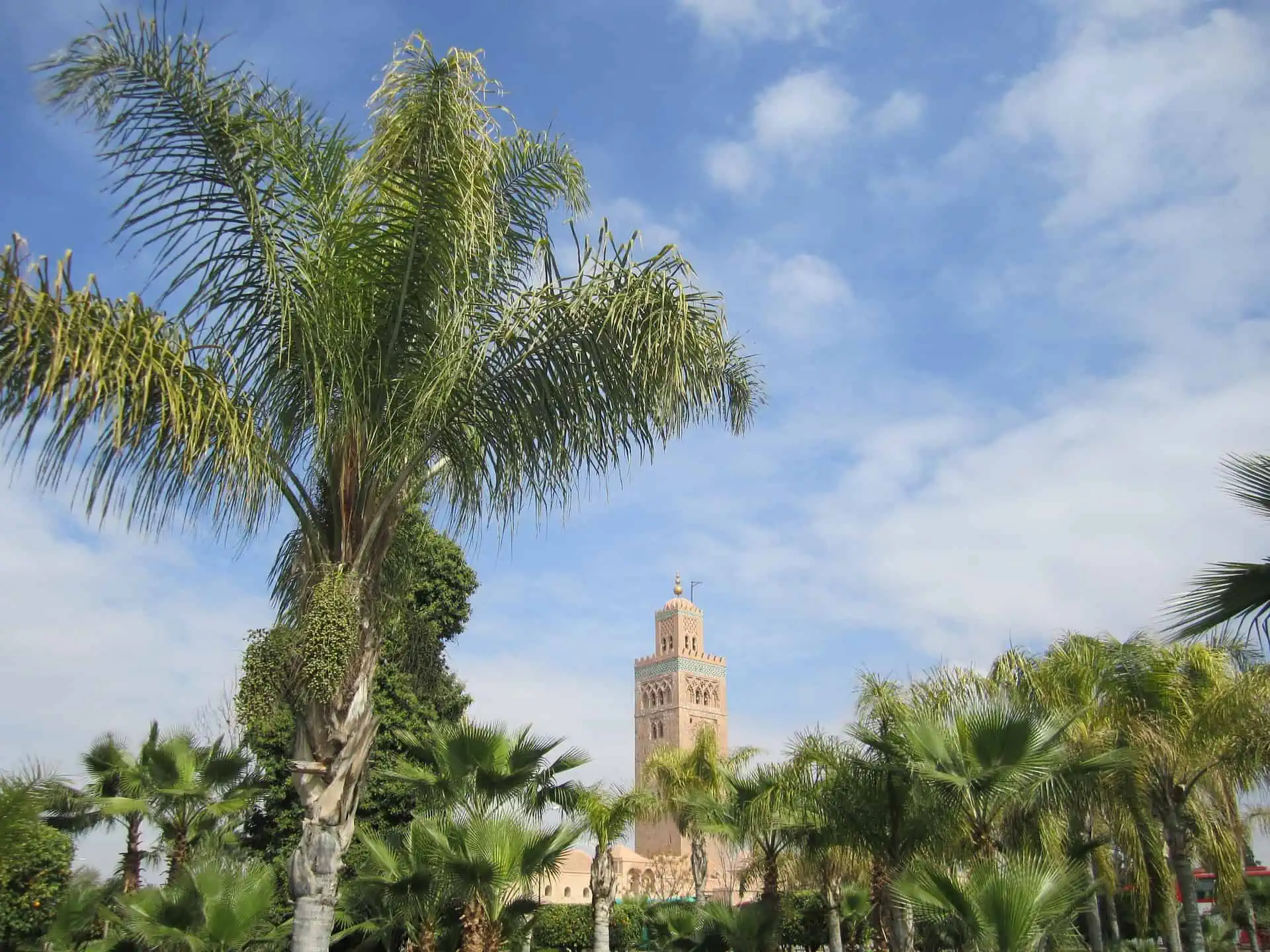 You are currently viewing A Guide to the Best International Events in Marrakech