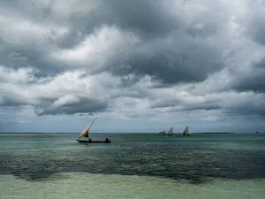 Read more about the article Where to go Snorkeling in Zanzibar