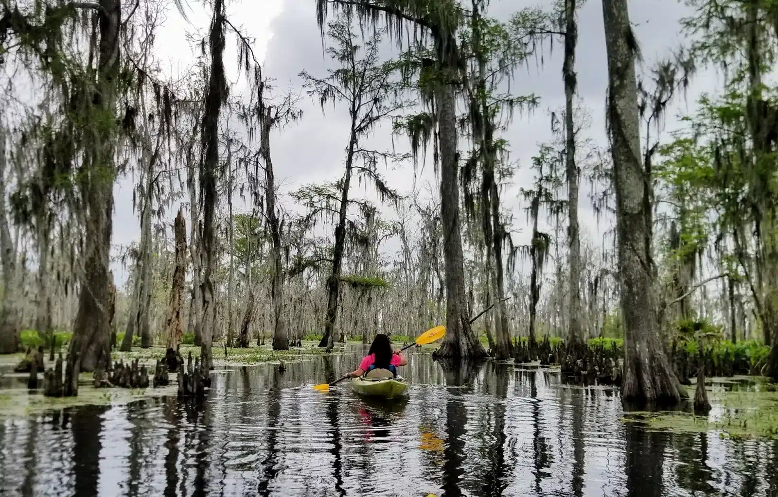 Read more about the article Explore Southern Louisiana, the Heart of Cajun Country