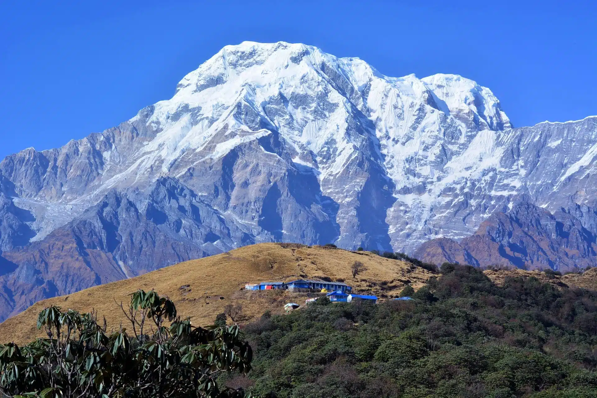 You are currently viewing Trekking in Nepal: 7 of best Nepal Treks