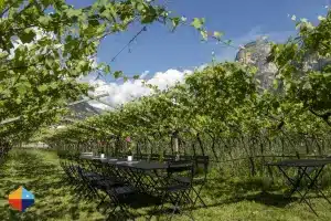 Read more about the article Lago di Ledro & Lago di Molveno: Your Perfect Dolce Vita Alpine Escape