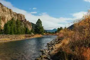 Read more about the article Fun Family Activities to Enjoy When Visiting Custer-Gallatin National Forest