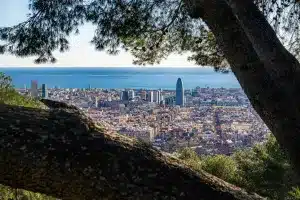 Read more about the article Barcelona in July: Events and Activities
