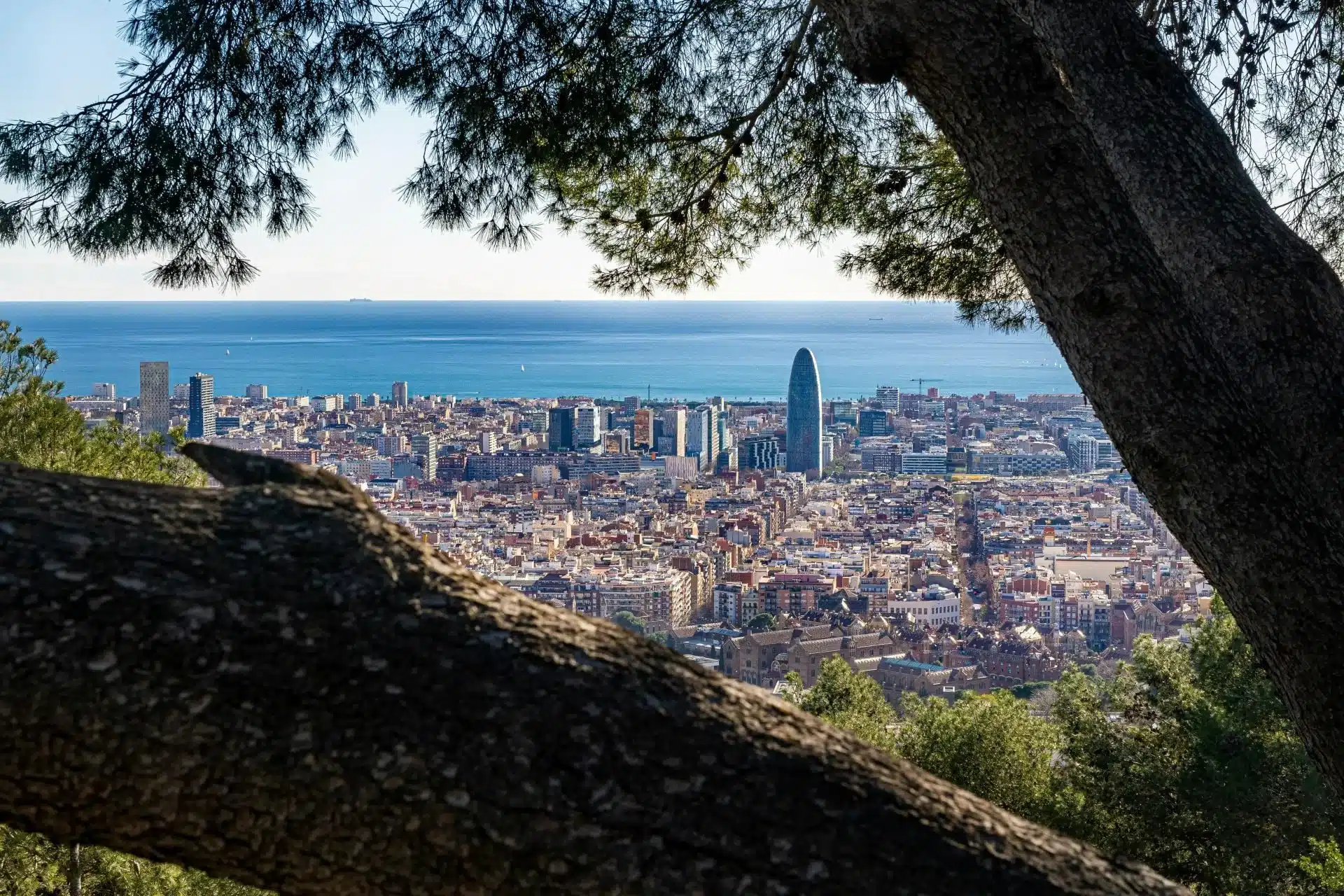 You are currently viewing Barcelona in July: Events and Activities