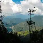 Why is Shivapuri Day Hiking in Nepal so Popular?